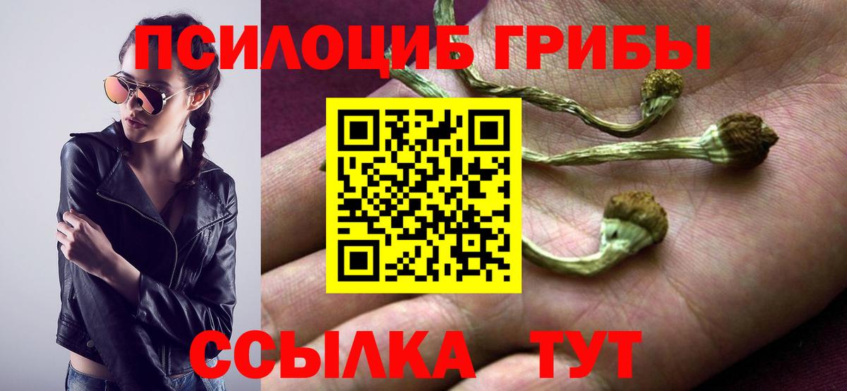 Псилоцибиновые грибы Magic Shrooms  Псилоцибиновые грибы Cubensis  Вход с VPN  дарнет шоп  Коряжма 
